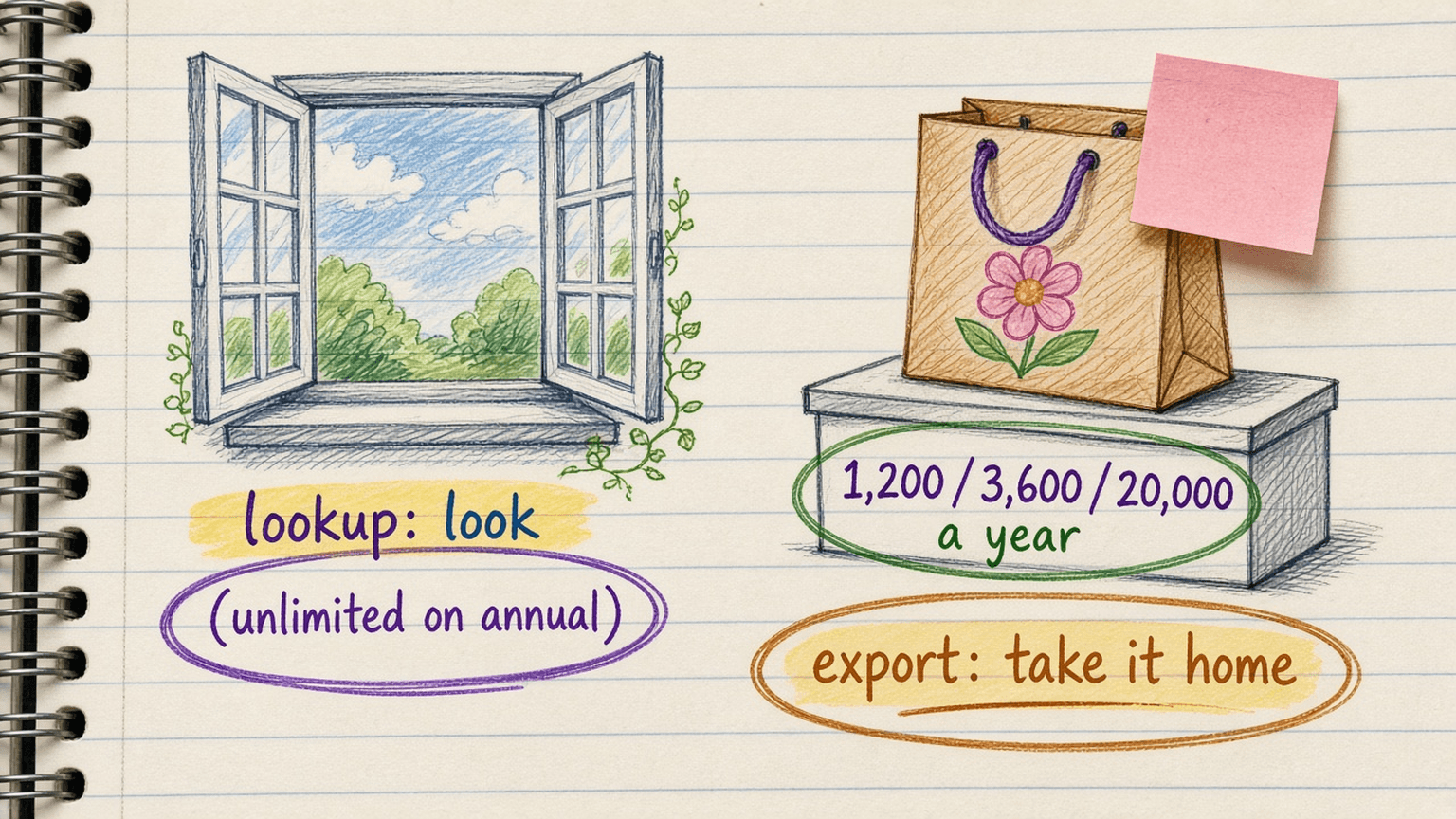 Handsketch of an open window labeled lookups, free on annual, next to a shopping bag labeled exports with a counter reading 1,200, 3,600 and 20,000 a year